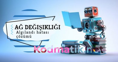 Bir Ağ Değişikliği Algılandı Hatası