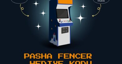 Pasha Fencer Hediye Kodu
